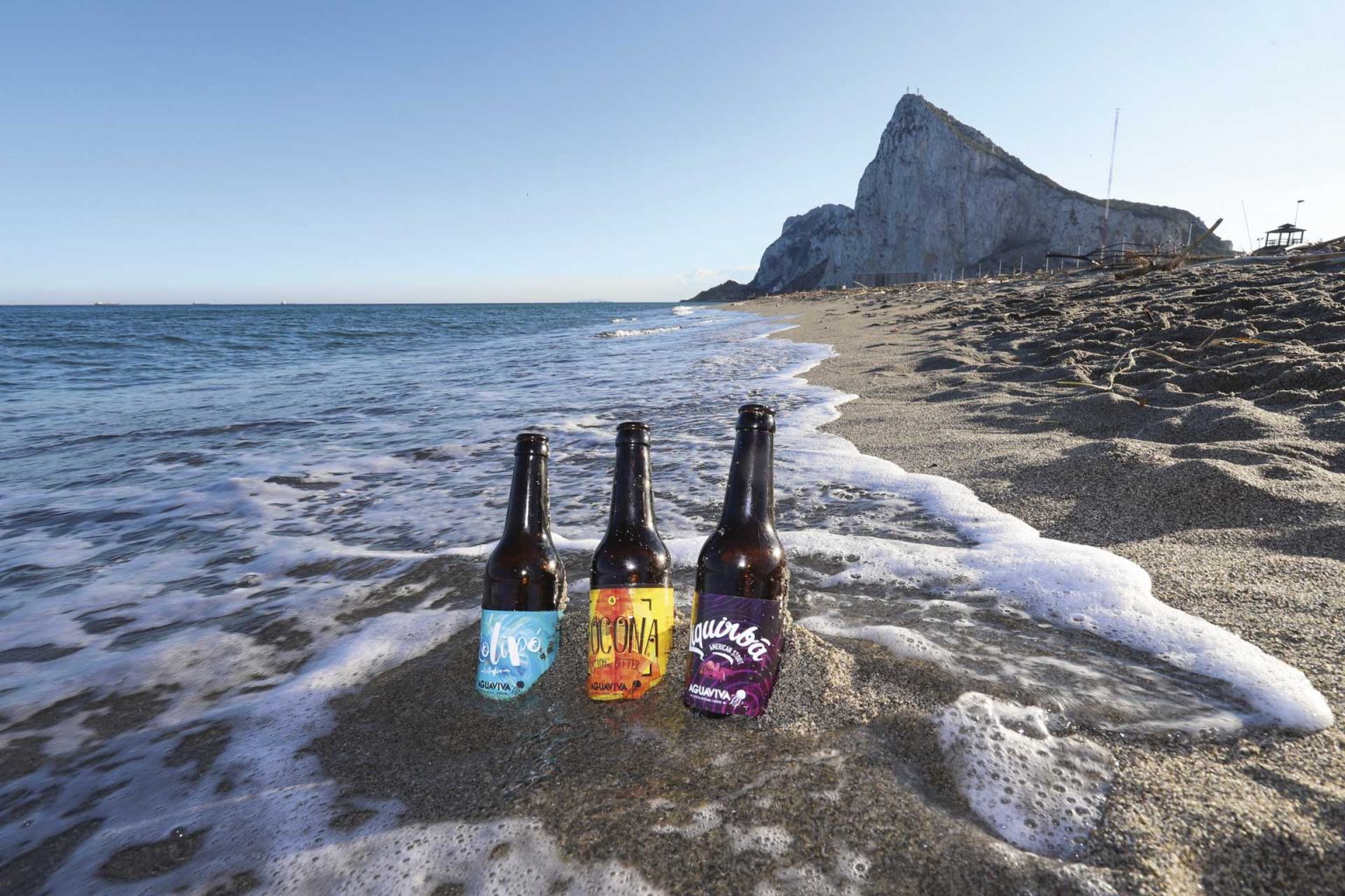 Como Se Dice Cerveza Negra En Ingles