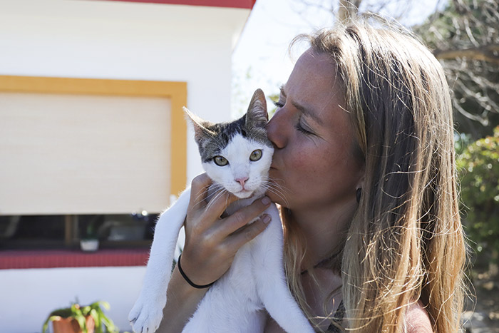 Pamela Joy Merchant: 'The Animal Collective' La Línea
